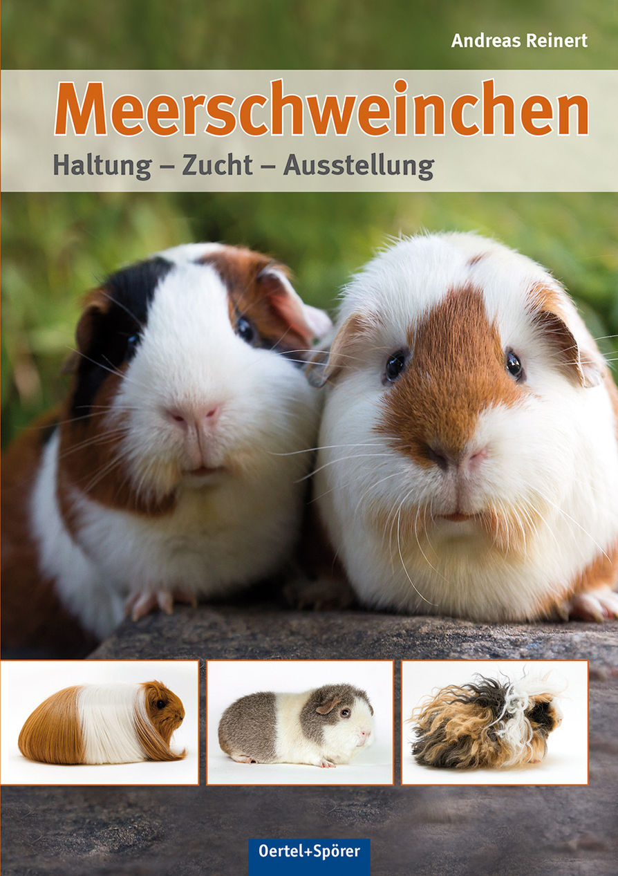 Meerschweinchen Buch von Andreas Reinert versandkostenfrei - Weltbild.ch