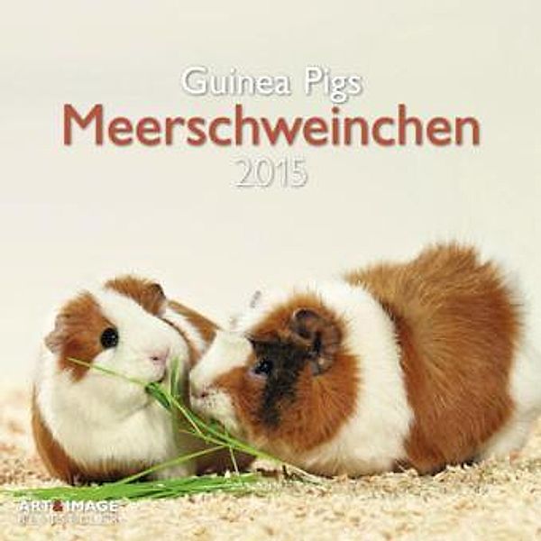 Meerschweinchen 2015