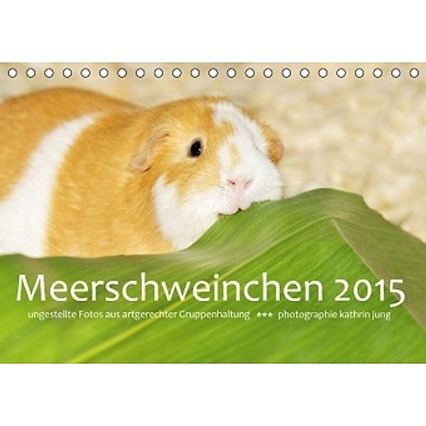 Meerschweinchen 2016 (Tischkalender 2016 DIN A5 quer), Kathrin Jung