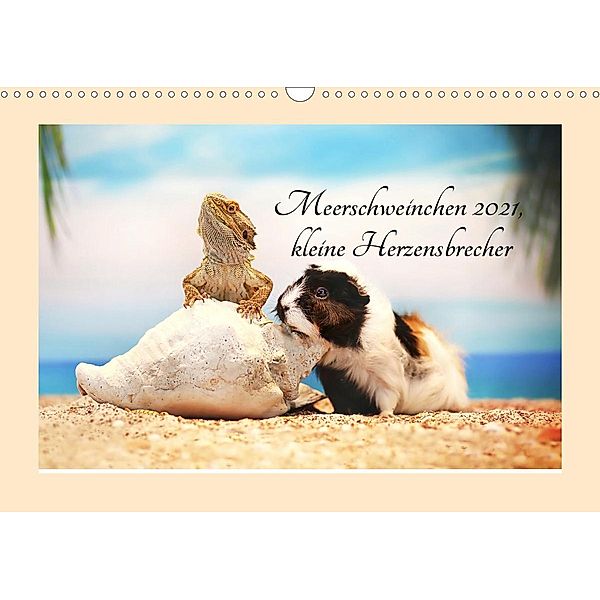 Meerschweinchen 2021, kleine Herzensbrecher (Wandkalender 2021 DIN A3 quer), Anja Foto Grafia Fotografie