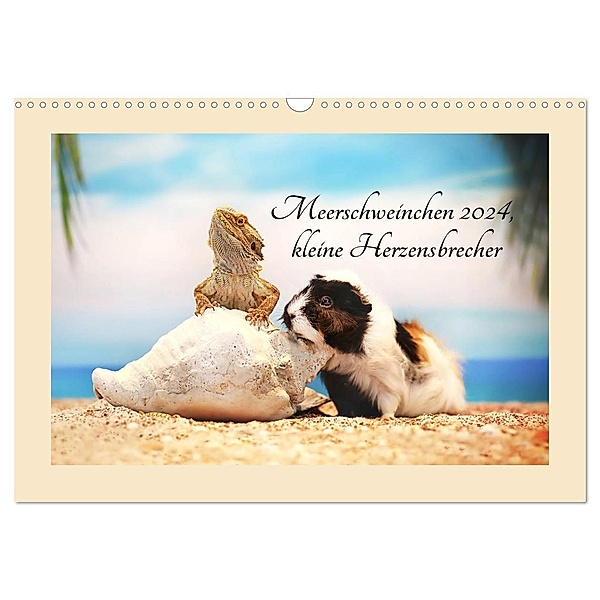 Meerschweinchen 2024, kleine Herzensbrecher (Wandkalender 2024 DIN A3 quer), CALVENDO Monatskalender, Anja Foto Grafia Fotografie