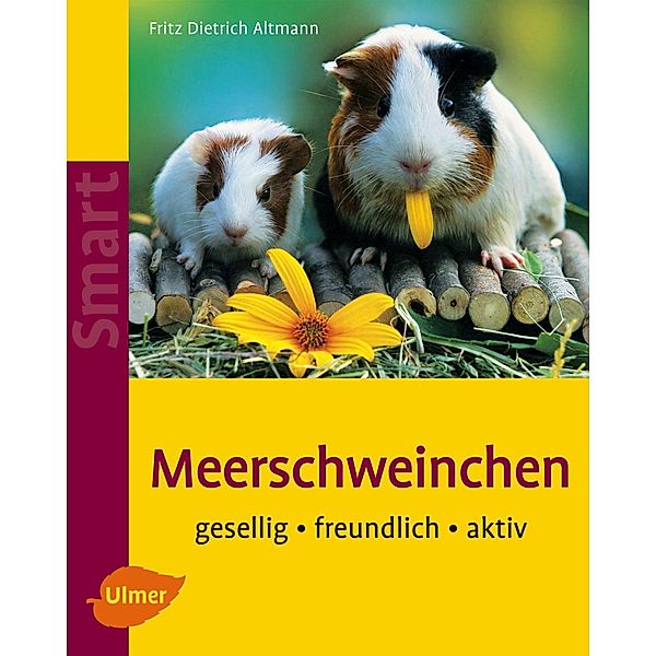 Meerschweinchen, Fritz Dietrich Altmann