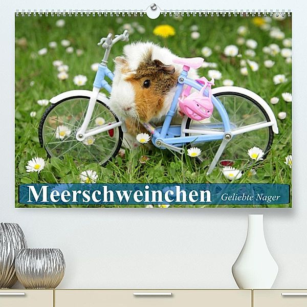 Meerschweinchen. Geliebte Nager (Premium, hochwertiger DIN A2 Wandkalender 2023, Kunstdruck in Hochglanz), Elisabeth Stanzer