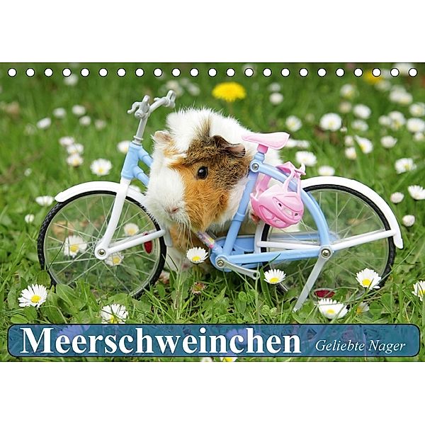 Meerschweinchen. Geliebte Nager (Tischkalender 2018 DIN A5 quer), Elisabeth Stanzer