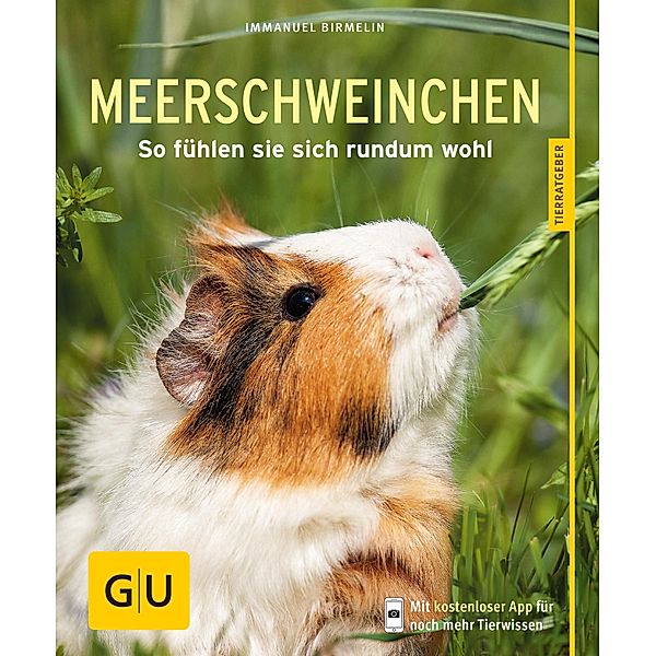 Meerschweinchen / GU Haus & Garten Tier-Ratgeber, Immanuel Birmelin