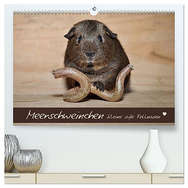 Meerschweinchen - Kleine süße Fellnasen (hochwertiger Premium Wandkalender 2025 DIN A2 quer), Kunstdruck in Hochglanz, Calvendo, Petra Fischer