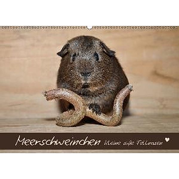Meerschweinchen - Kleine süße Fellnasen (Wandkalender 2017 DIN A2 quer), Petra Fischer