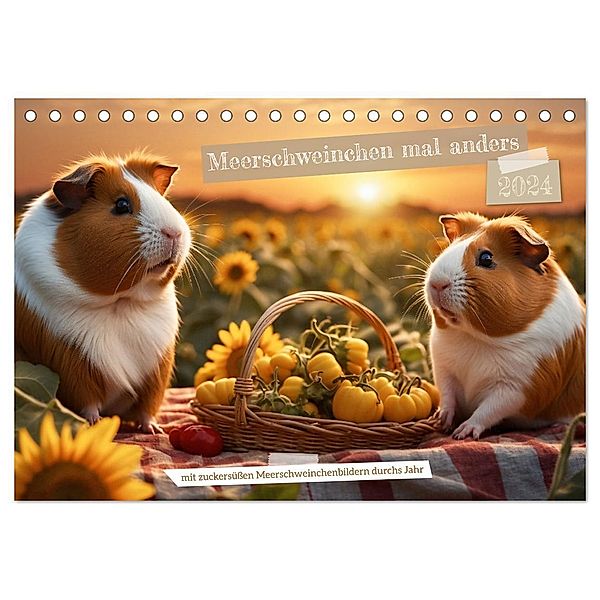 Meerschweinchen mal anders! (Tischkalender 2024 DIN A5 quer), CALVENDO Monatskalender, Calvendo, Heidi Spiegler