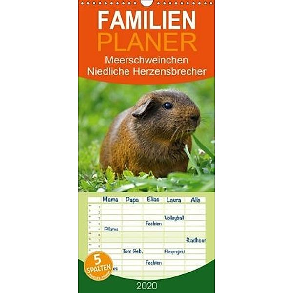 Meerschweinchen Niedliche Herzensbrecher - Familienplaner hoch (Wandkalender 2020 , 21 cm x 45 cm, hoch), Elisabeth Stanzer