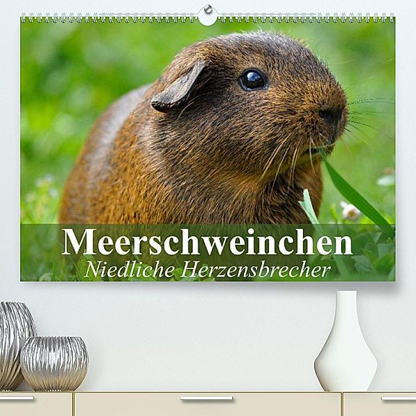 Meerschweinchen Niedliche Herzensbrecher (Premium, hochwertiger DIN A2 Wandkalender 2023, Kunstdruck in Hochglanz), Elisabeth Stanzer