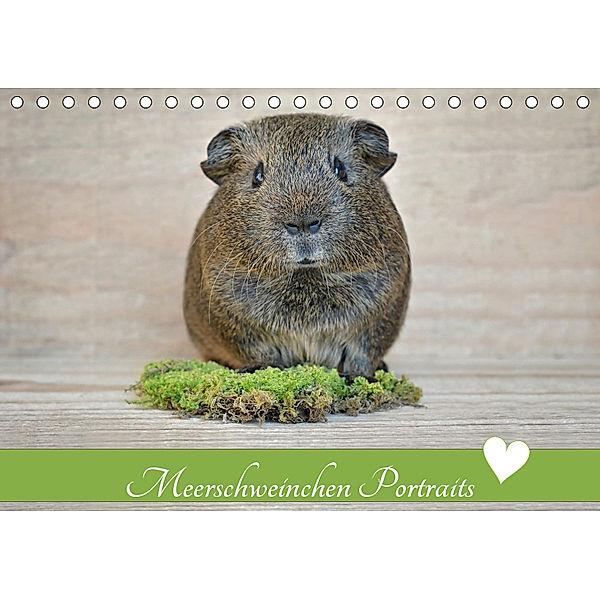 Meerschweinchen Portraits (Tischkalender 2019 DIN A5 quer), Petra Fischer