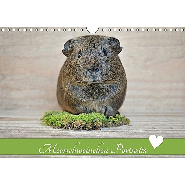 Meerschweinchen Portraits (Wandkalender 2018 DIN A4 quer), Petra Fischer