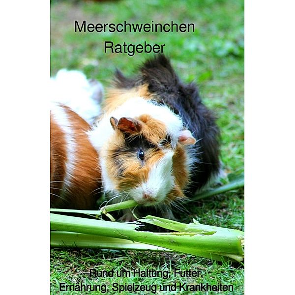 Meerschweinchen Ratgeber., Powerlifting check