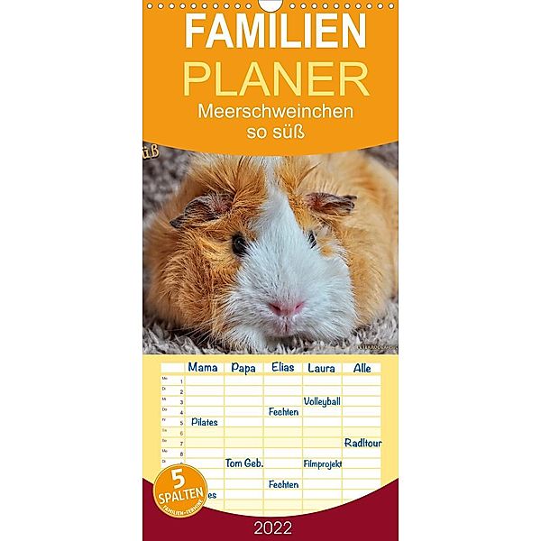 Meerschweinchen - so süß - Familienplaner hoch (Wandkalender 2022 , 21 cm x 45 cm, hoch), Peter Roder