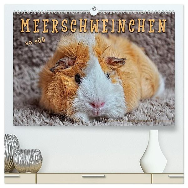 Meerschweinchen - so süss (hochwertiger Premium Wandkalender 2024 DIN A2 quer), Kunstdruck in Hochglanz, Peter Roder