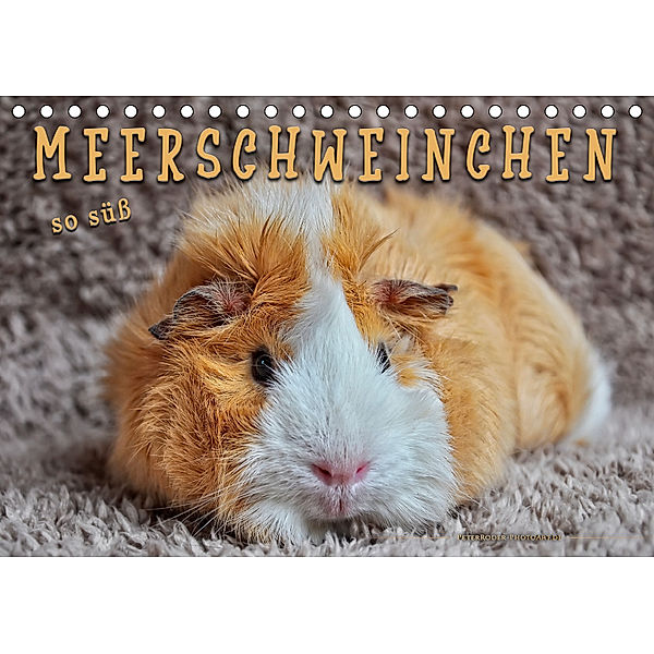 Meerschweinchen - so süß (Tischkalender 2019 DIN A5 quer), Peter Roder