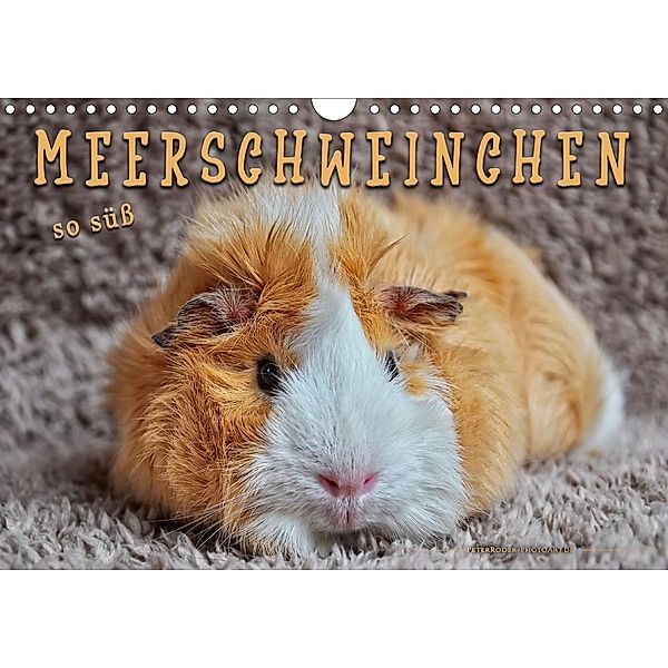 Meerschweinchen - so süß (Wandkalender 2020 DIN A4 quer), Peter Roder