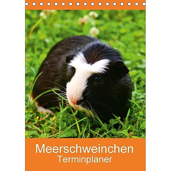 Meerschweinchen Terminplaner (Tischkalender 2018 DIN A5 hoch) Dieser erfolgreiche Kalender wurde dieses Jahr mit gleiche, Kattobello