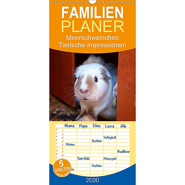 Meerschweinchen - Tierische Impressionen - Familienplaner hoch (Wandkalender 2020 , 21 cm x 45 cm, hoch), Steffani Lehmann