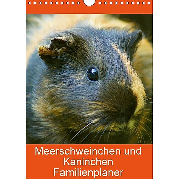 Meerschweinchen und Kaninchen Familienplaner (Wandkalender 2018 DIN A4 hoch), Kattobello