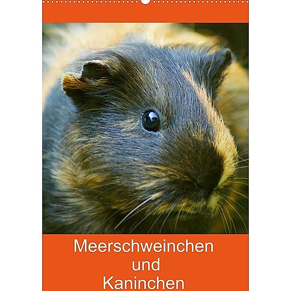 Meerschweinchen und Kaninchen Familienplaner (Wandkalender 2023 DIN A2 hoch), Kattobello