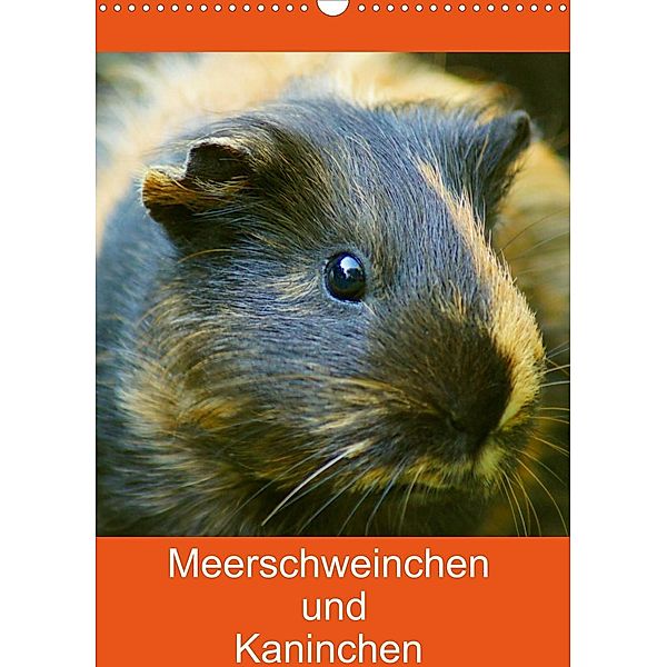 Meerschweinchen und Kaninchen Familienplaner (Wandkalender 2023 DIN A3 hoch), Kattobello