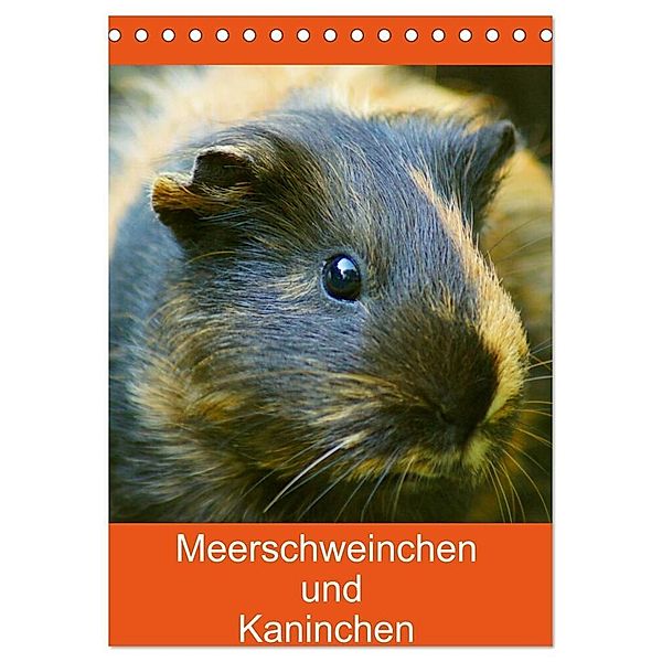 Meerschweinchen und Kaninchen Familienplaner (Tischkalender 2024 DIN A5 hoch), CALVENDO Monatskalender, Kattobello