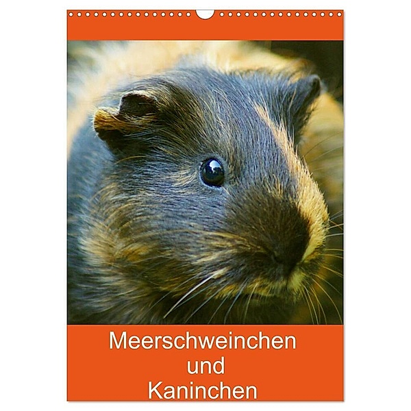Meerschweinchen und Kaninchen Familienplaner (Wandkalender 2024 DIN A3 hoch), CALVENDO Monatskalender, Kattobello
