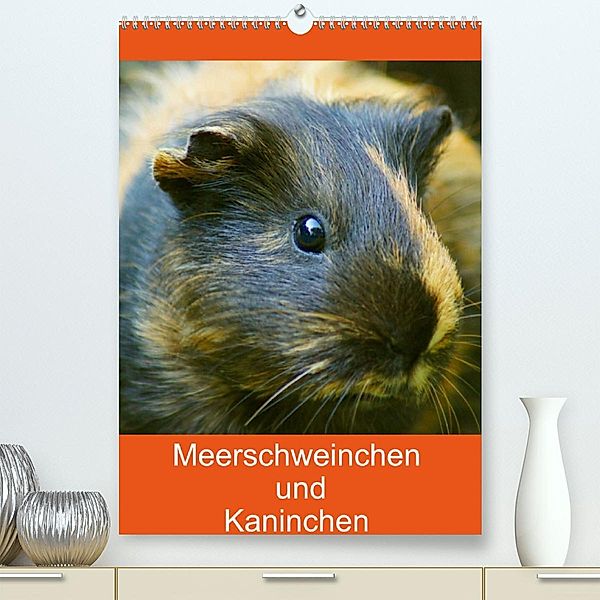 Meerschweinchen und Kaninchen Familienplaner (Premium, hochwertiger DIN A2 Wandkalender 2023, Kunstdruck in Hochglanz), Kattobello