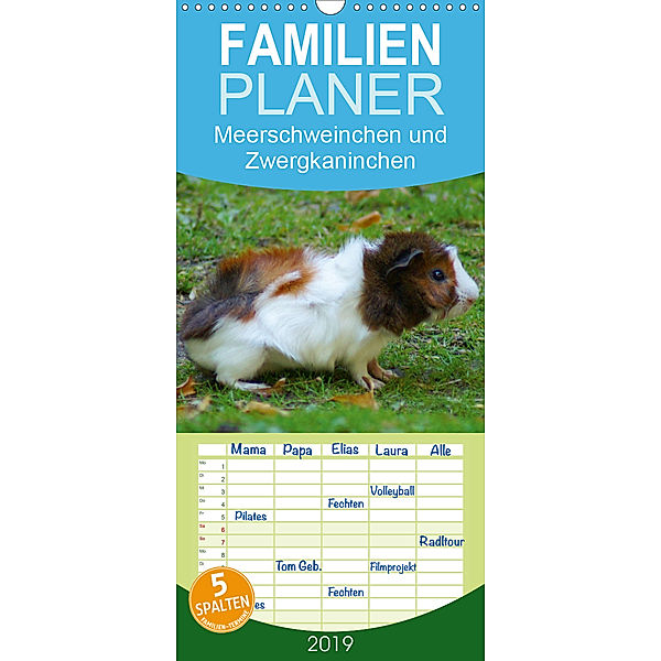 Meerschweinchen und Zwergkaninchen - Familienplaner hoch (Wandkalender 2019 , 21 cm x 45 cm, hoch)