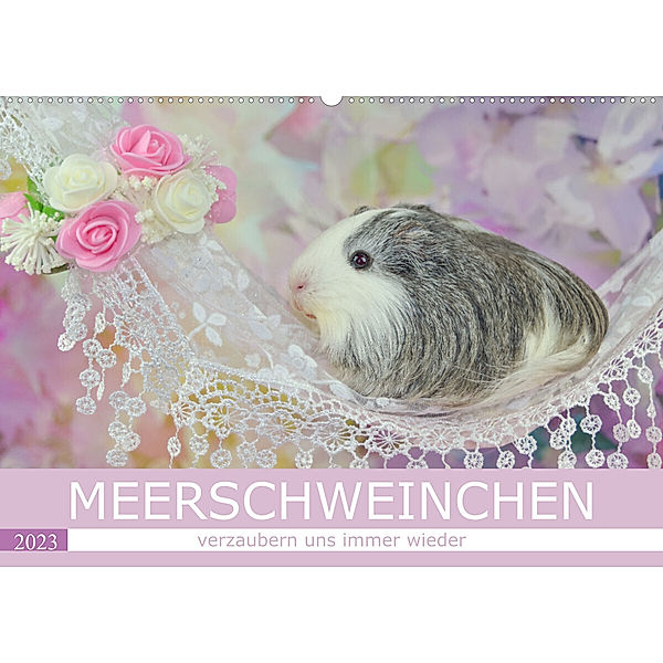 MEERSCHWEINCHEN verzaubern uns immer wieder (Wandkalender 2023 DIN A2 quer), Sabine Hampe-Neves