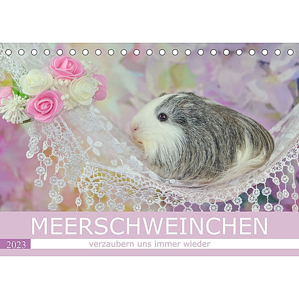 MEERSCHWEINCHEN verzaubern uns immer wieder (Tischkalender 2023 DIN A5 quer), Sabine Hampe-Neves