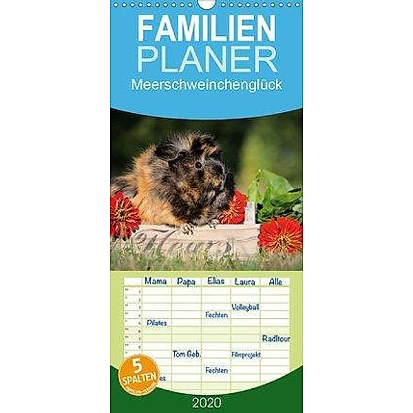 Meerschweinchenglück - Familienplaner hoch (Wandkalender 2020 , 21 cm x 45 cm, hoch), Sabine Scharnberg