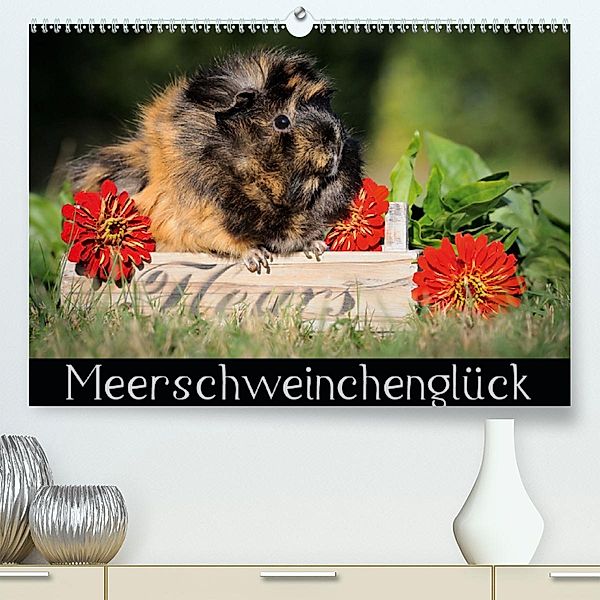 Meerschweinchenglück (Premium, hochwertiger DIN A2 Wandkalender 2020, Kunstdruck in Hochglanz), Sabine Scharnberg