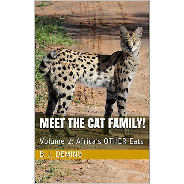 Meet the Cat Family!:  Africa's Other Cats / Meet The Cat Family!, B. J. Deming
