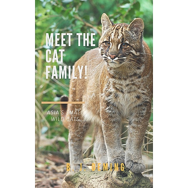 Meet the Cat Family!: Asia's Small Wild Cats / Meet The Cat Family!, B. J. Deming