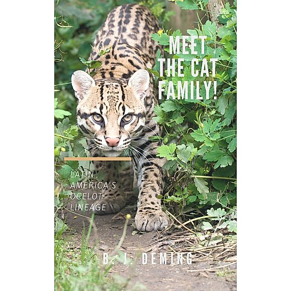 Meet the Cat Family! Latin America's Ocelot Lineage / Meet The Cat Family!, B. J. Deming