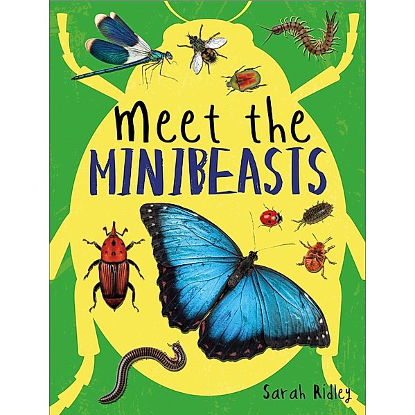 Meet the Minibeasts, Sarah Ridley