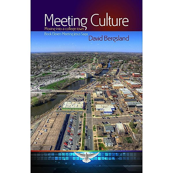 Meeting Culture (Meeting Jesus Saga, #11) / Meeting Jesus Saga, David Bergsland