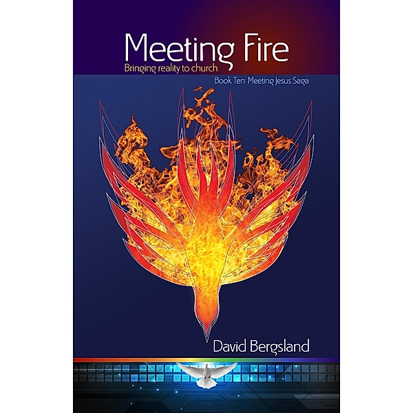 Meeting Fire (Meeting Jesus Saga, #10) / Meeting Jesus Saga, David Bergsland