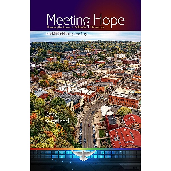 Meeting Hope (Meeting Jesus Saga, #8) / Meeting Jesus Saga, David Bergsland