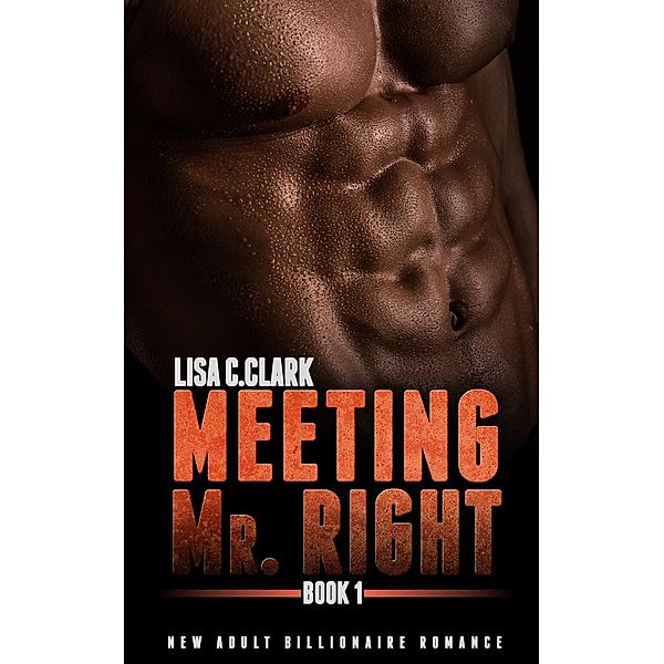 Meeting Mr. Right: Book # 1 (New Adult College Romance  Alpha Series, #1), Lisa C. Clark