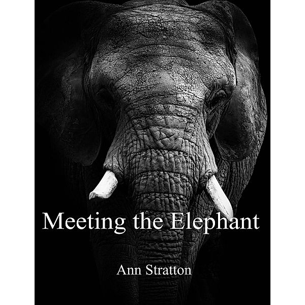 Meeting the Elephant, Ann Stratton