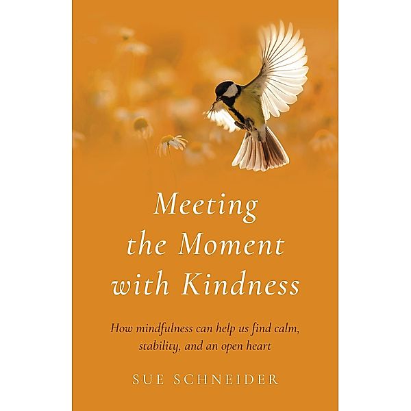 Meeting the Moment with Kindness, Sue Schneider