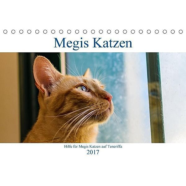 Megis Katzen (Tischkalender 2017 DIN A5 quer), Megi Kovac