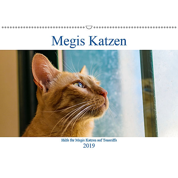 Megis Katzen (Wandkalender 2019 DIN A2 quer), Megi Kovac