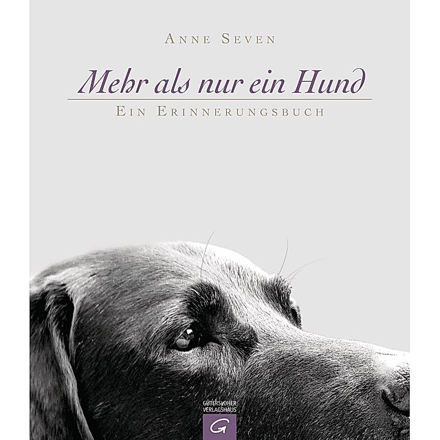 Mehr als nur ein Hund Buch von Anne Seven versandkostenfrei - Weltbild.ch