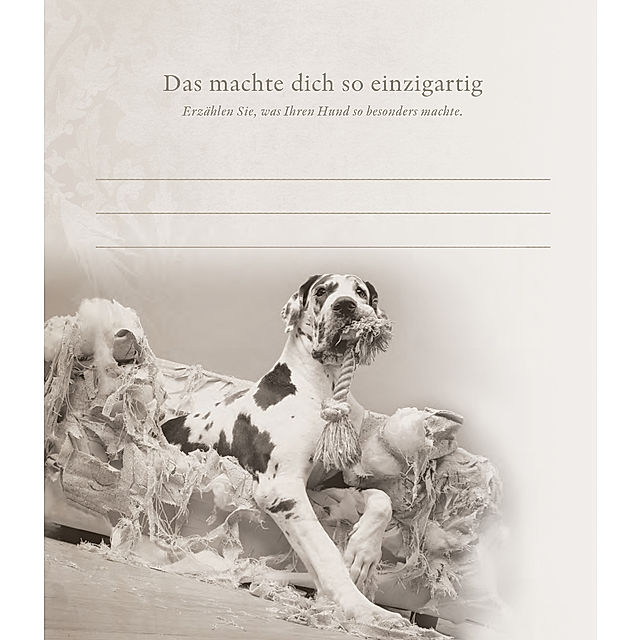 Mehr als nur ein Hund Buch von Anne Seven versandkostenfrei - Weltbild.de