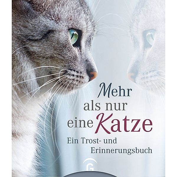 Mehr als nur eine Katze