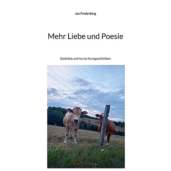 Mehr Liebe und Poesie, Jan Frederking